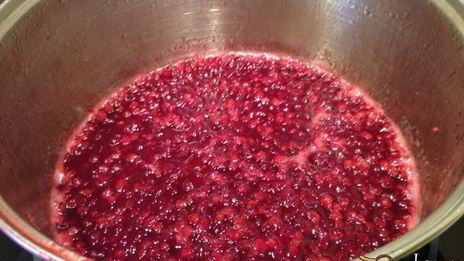 варенье из калины без косточек на зиму