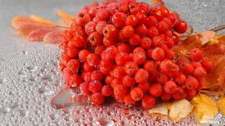 Варенье из сладкой рябины