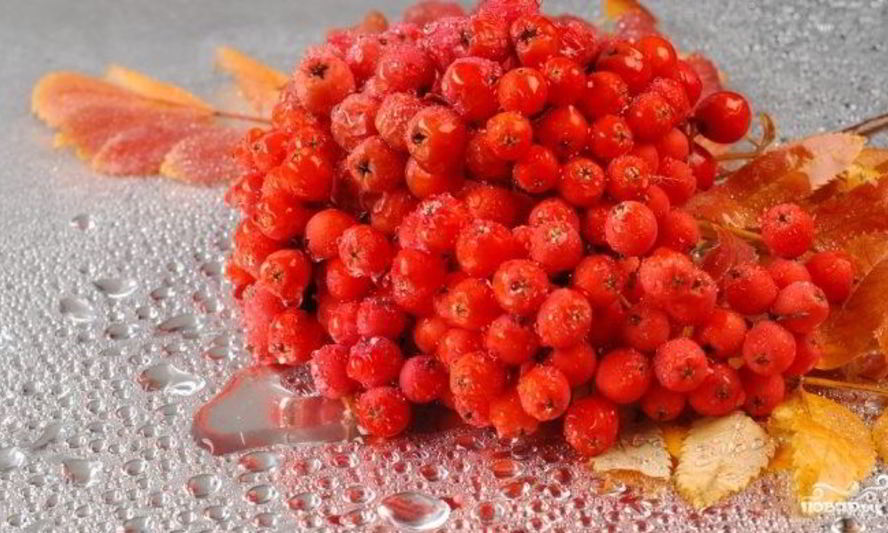 Рецепт варенья из сладкой рябины