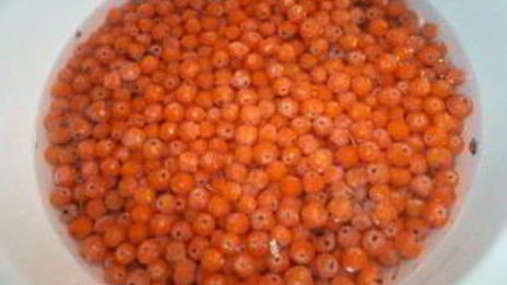 варенье из сладкой рябины