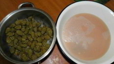 варенье из сосновой шишки