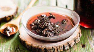 Варенье из сосновых шишек