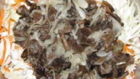 вкусная капуста с грибами на зиму