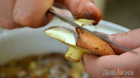 заготовка маслят