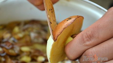 заготовка маслят