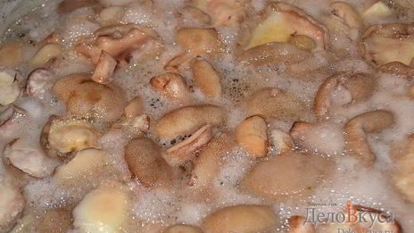 заготовка маслят