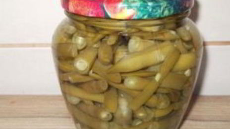 закатка спаржевой фасоли на зиму