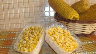 Заморозить кукурузу на зиму в початках и зернах