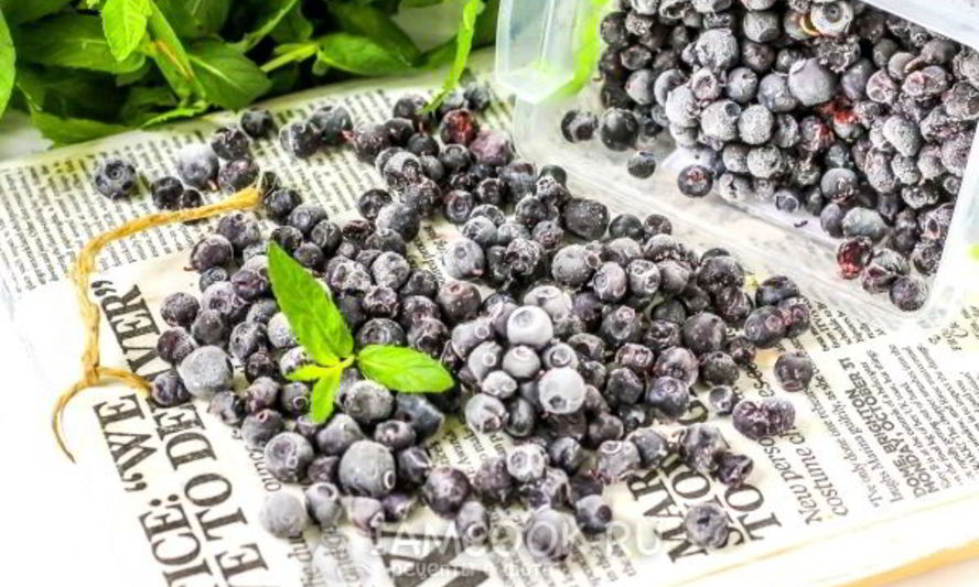 Рецепт заморозки черники на зиму