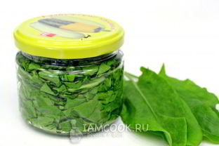 Засолка щавеля на зиму