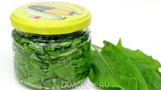 Засолка щавеля на зиму
