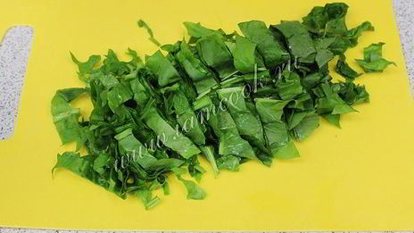 засолка щавеля на зиму