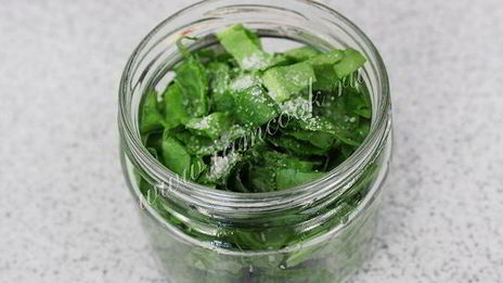 засолка щавеля на зиму