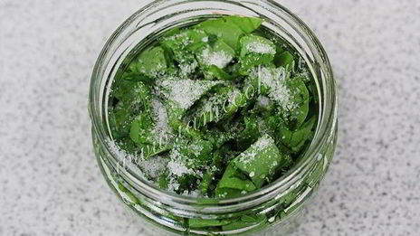 засолка щавеля на зиму