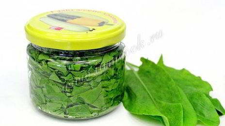 засолка щавеля на зиму