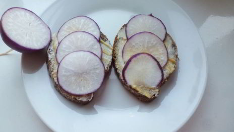 бутерброд с соленой селедкой и редисом