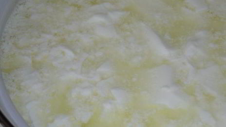 домашний сычужный сыр