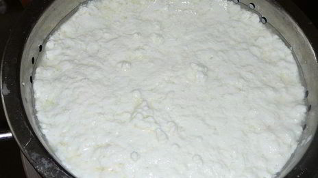 домашний сычужный сыр