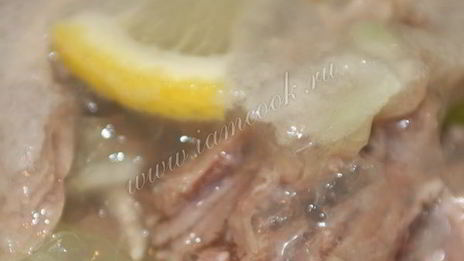 холодец из индейки