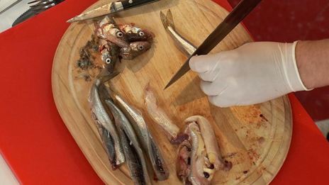 корюшка, маринованная в пиве с овощами