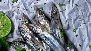 Мойва пряного посола