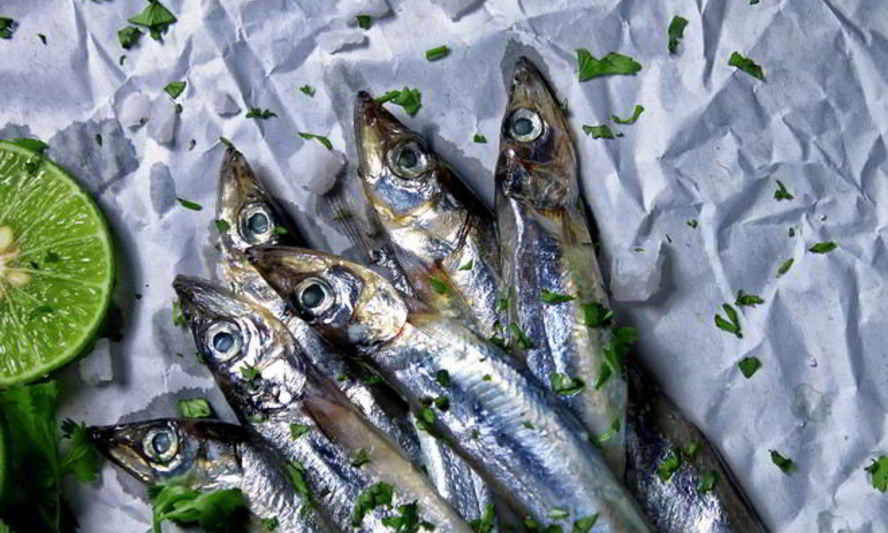 Рецепт мойвы пряного посола