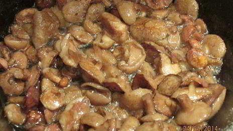 фриттата из кабачков с грибами