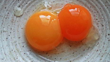 омлет рыбный дачный