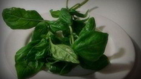 помидоры с сыром моцарелла