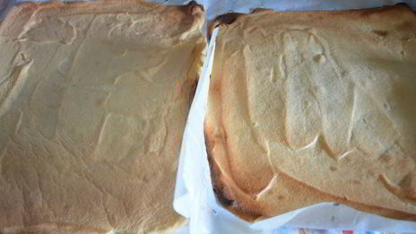 двойной бисквитный рулет с джемом