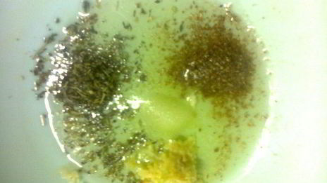 мясные рулетики с начинкой из омлета и печени