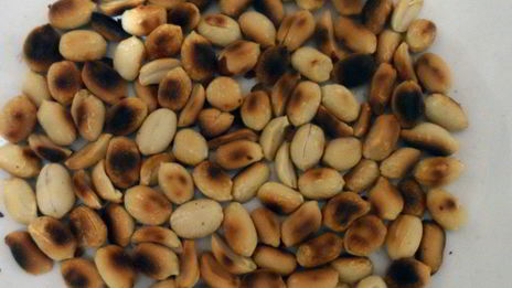 рулетики из баклажанов с арахисовой пастой