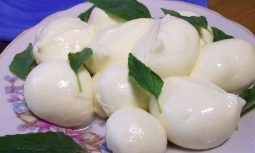 Рецепт сыра моцарелла