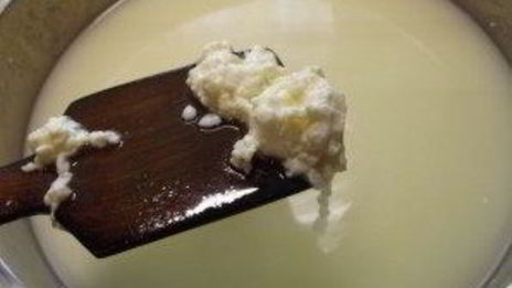 сыр моцарелла