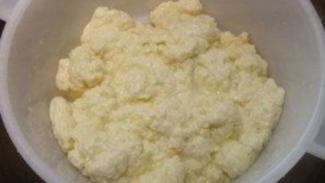 сыр моцарелла