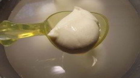 сыр моцарелла